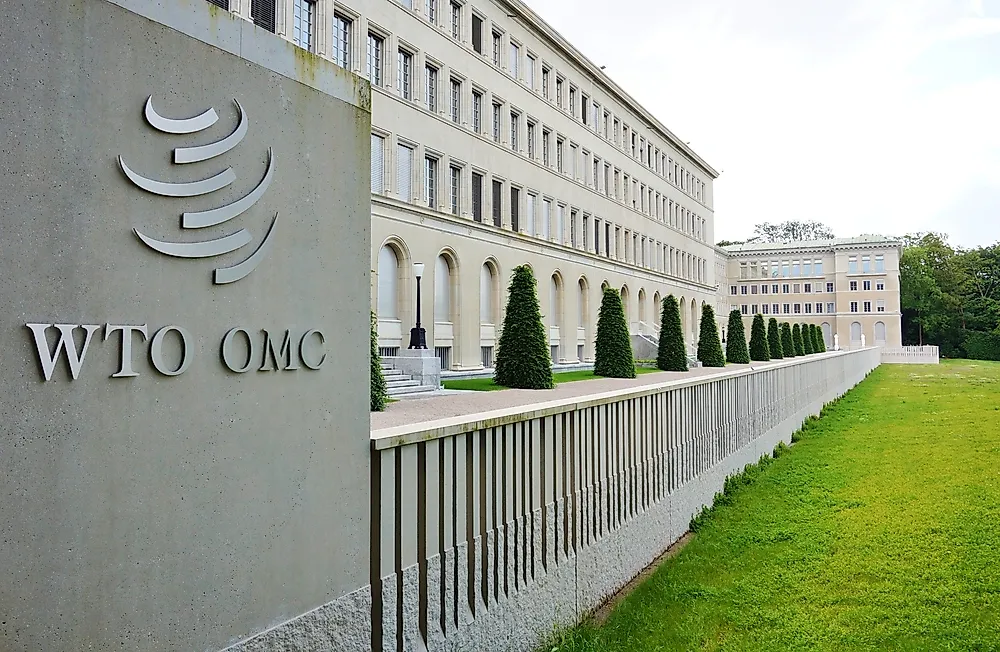 What Is the WTO? Why Its Data Shapes Every Serious Export Decision